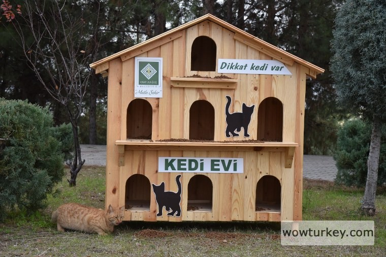 BLD_6022_1280x854_760x507