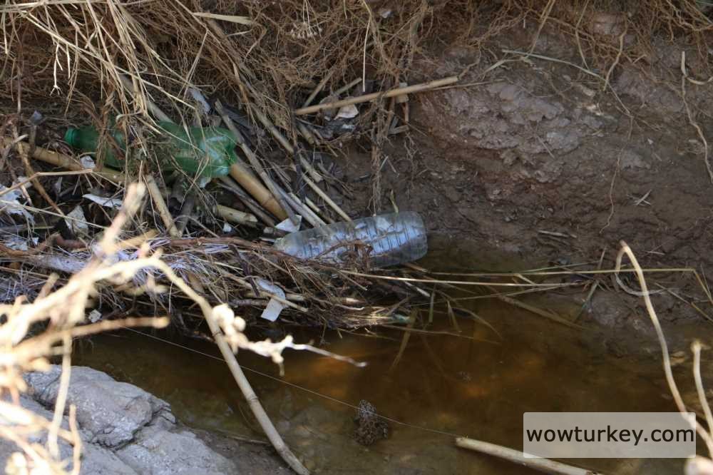 cad949e2-68c9-44ed-92ab-266e1c525f29