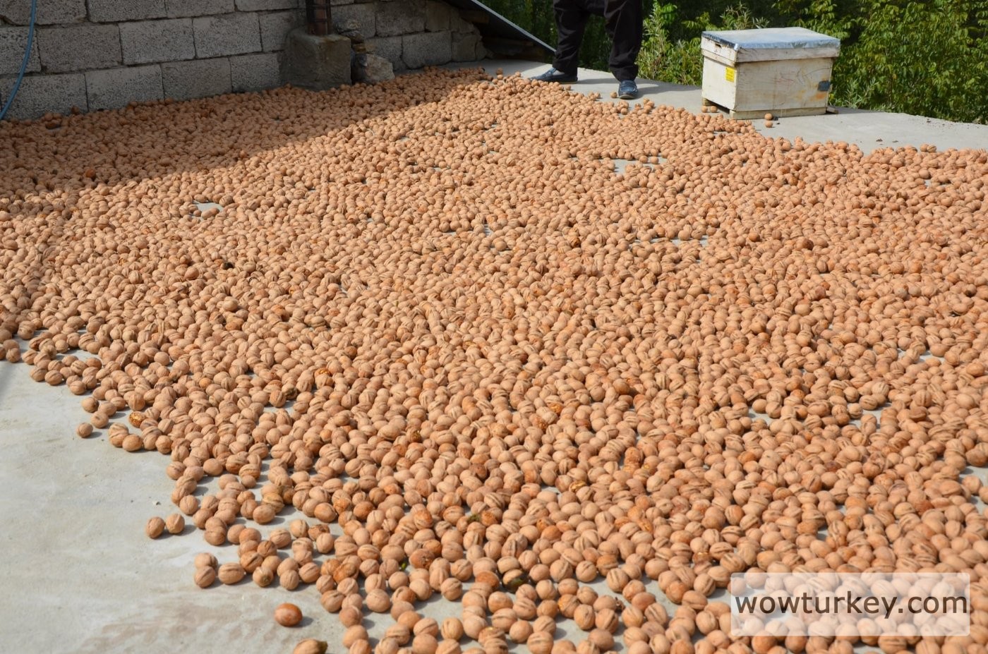 caglayancerit-fotograflari-281220211330