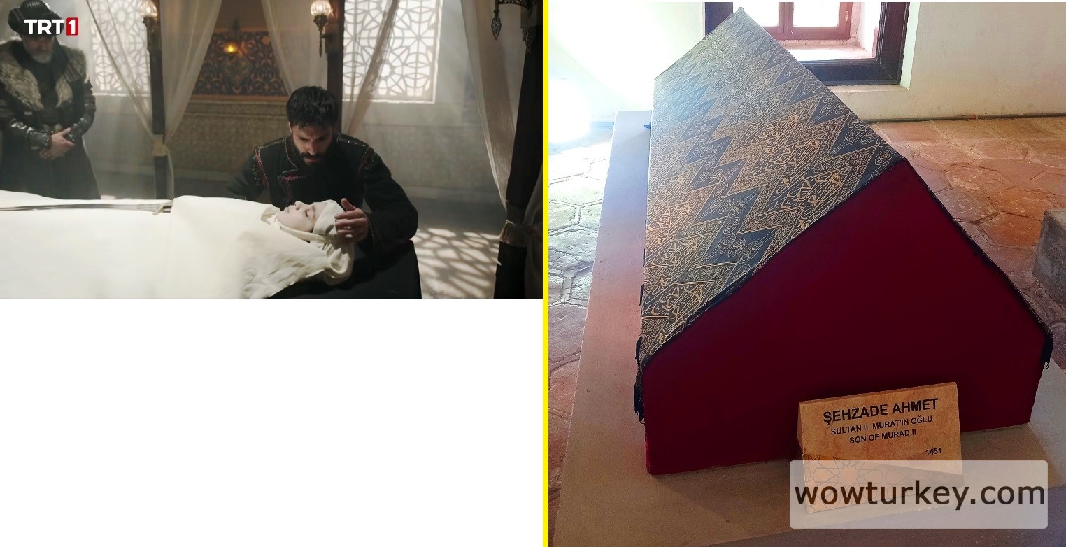 capture-20240508-004420