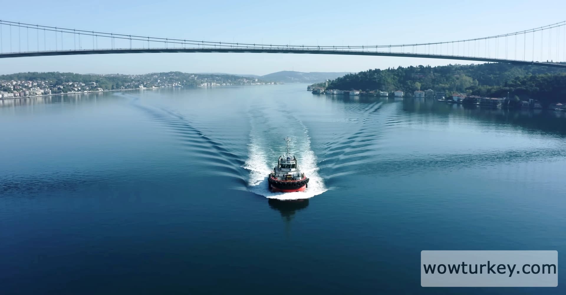 capture-20240524-205642