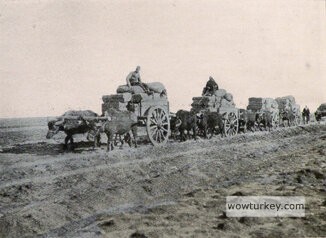 csm_Childs_4097-retocadaweb_54f437fed0