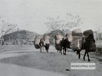 csm_Childs_4098-retocadaweb_eb8eb5b042