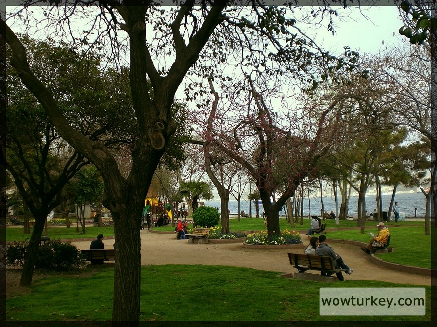 d1lguj5-303fba6c-1561-46c6-ac81-948312e2b0f4