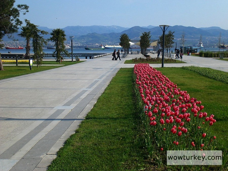 d1yrsk3-db15d4ee-ae40-41ca-b92f-b02547e4cb2d