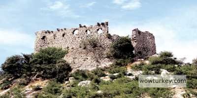 d42b4947-d6ca-4480-b564-1b3101639678