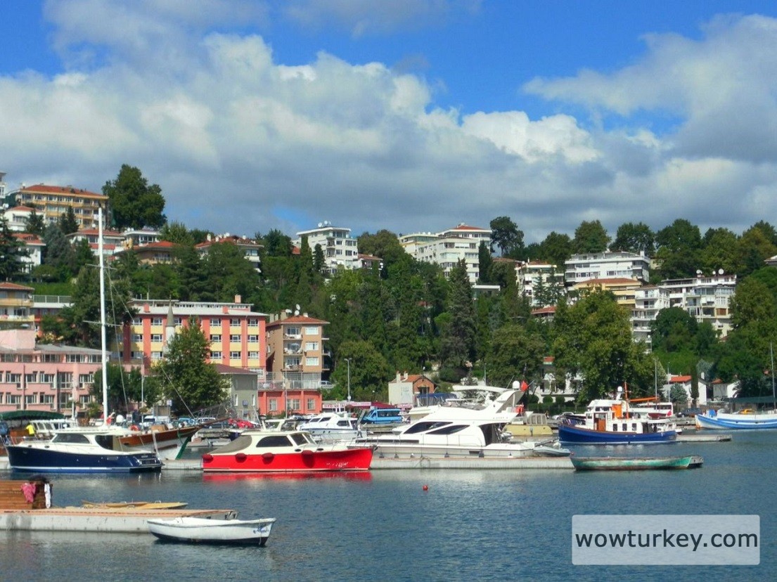 d5huv9a-4fdd71e4-2479-4308-a480-b39bd28d8f29