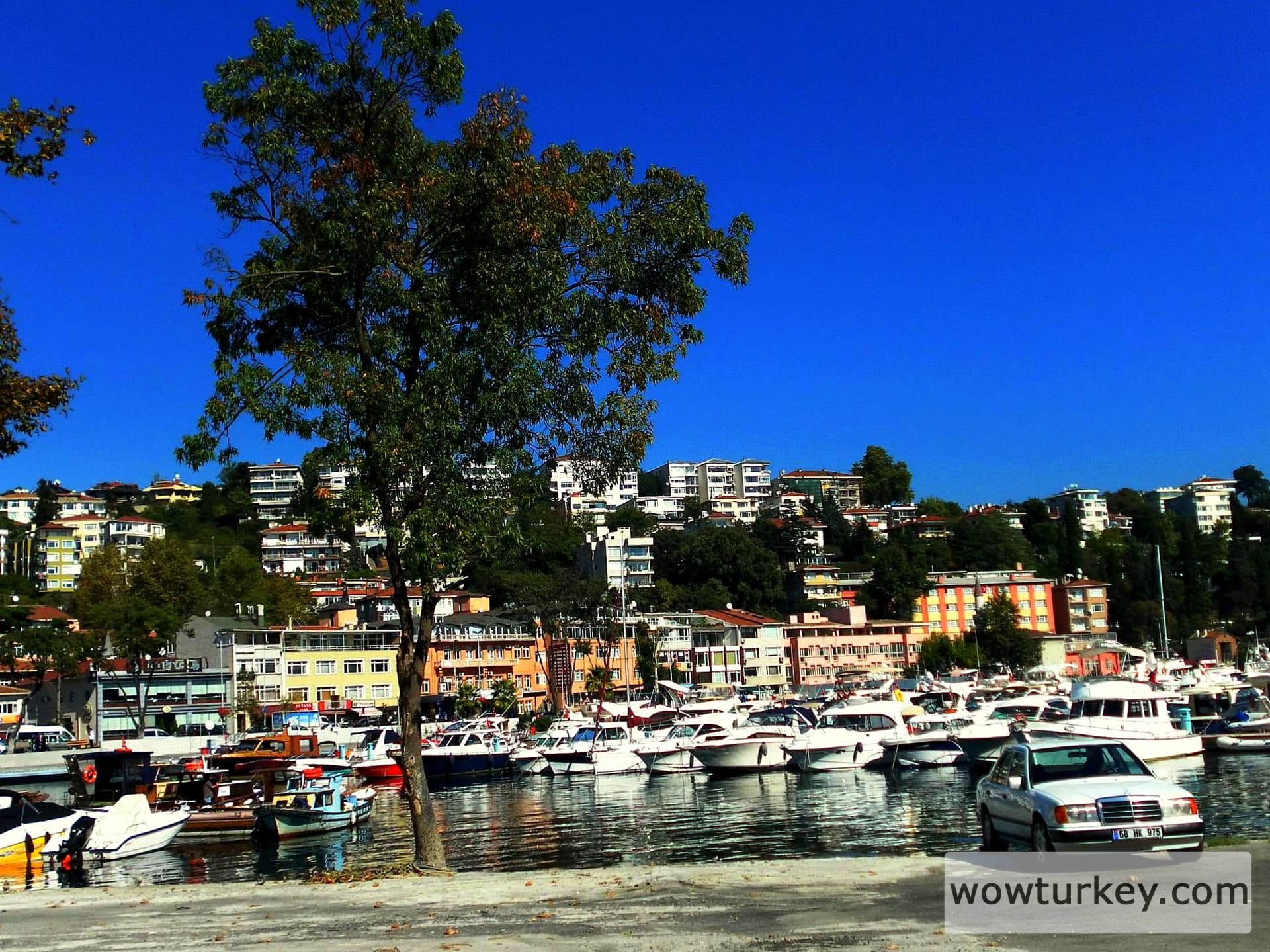 d5imvkq-56892e9d-647c-4e17-b62a-da474655c0fc