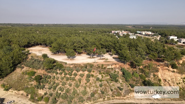 dji_fly_20230617_172758_727_1687012085181_photo