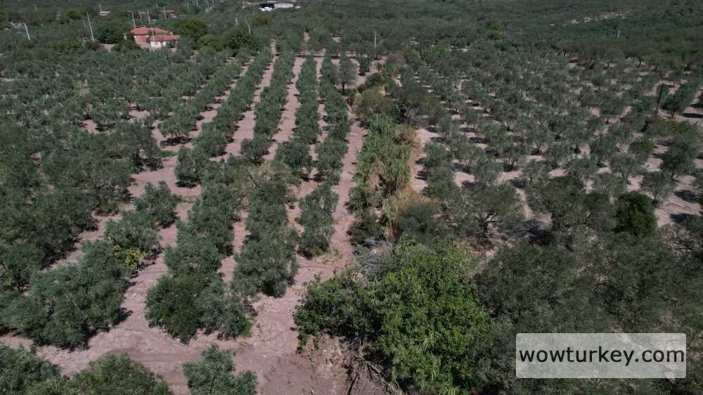 e3e72155-a6b4-4998-824a-e5d015390804