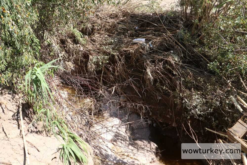 e8f25ce0-cb50-4875-b3ec-9d014b7765ed