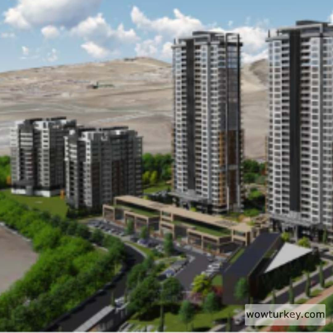 EADE1DA5812CEADD242EFD916A19ECA7