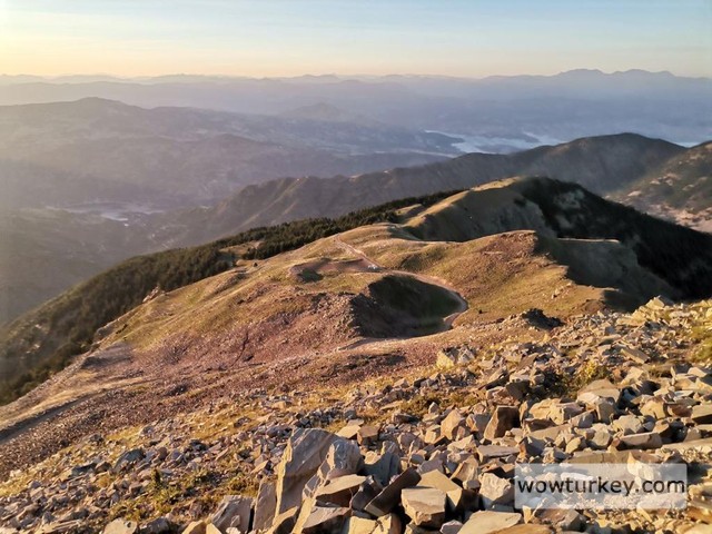 edc60b7d-8884-490a-9c75-91ad9d3343c0