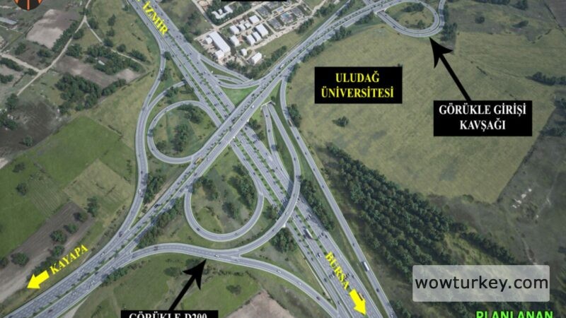 efd0n1x5prwccco-800x450