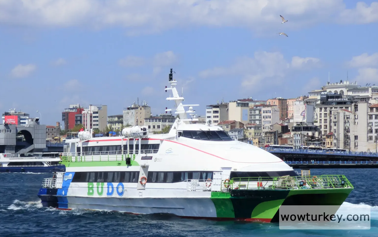 Ekran görüntüsü 2024-10-13 091854.png