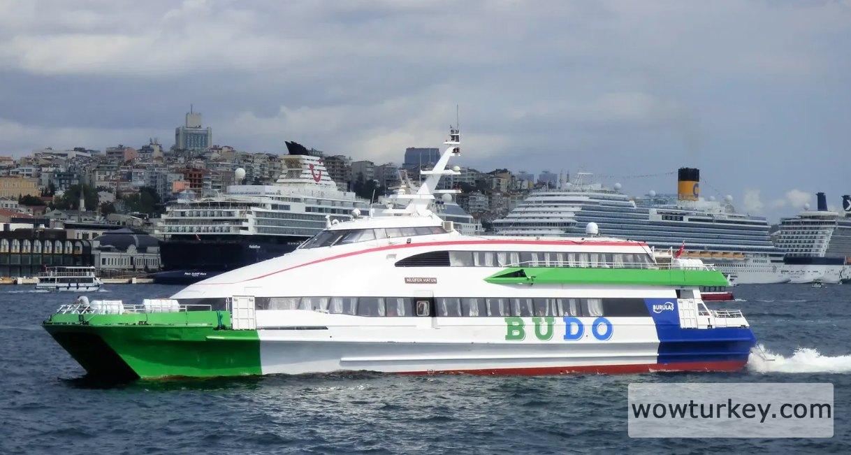 Ekran görüntüsü 2024-10-13 191015.png