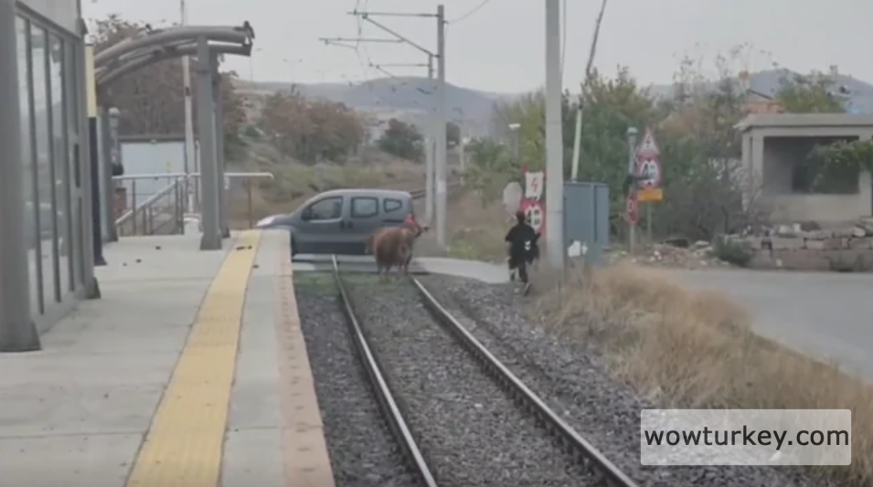 Ekran görüntüsü 2025-03-09 204421.png