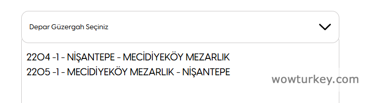 Ekran görüntüsü 2025-07-09 225605.png