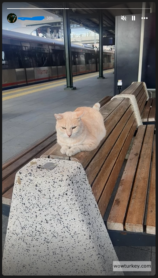 Ekran görüntüsü 2025-07-27 203216.png