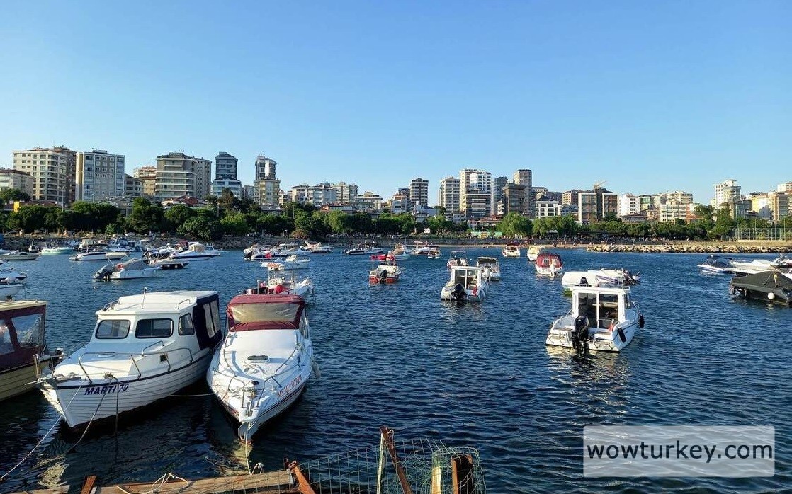 Emre1979_imageedit_1_2404199511