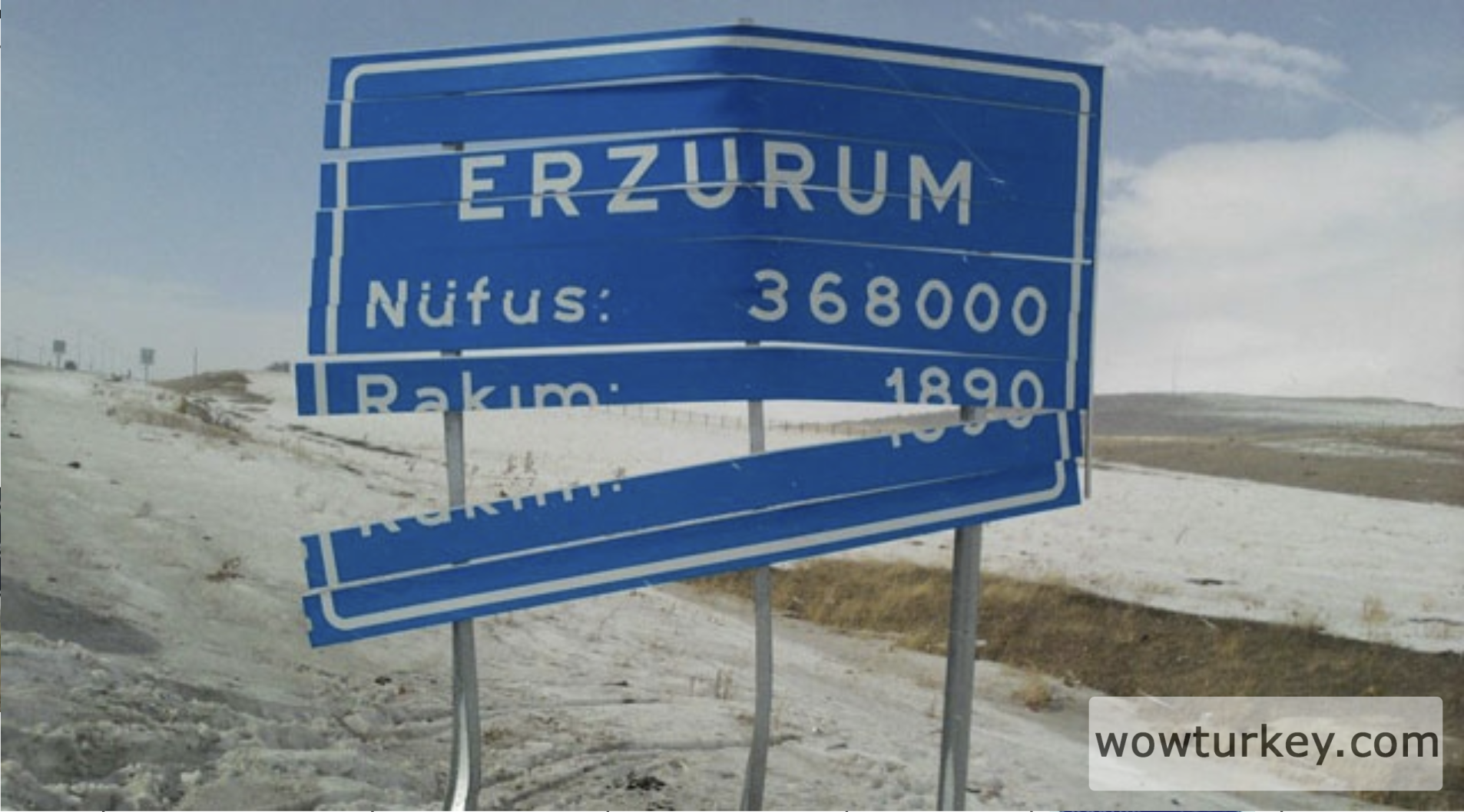 erzurum 2012.png