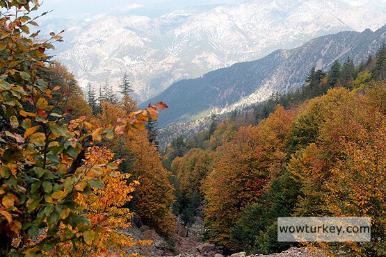 eylul-ekim_duldululu