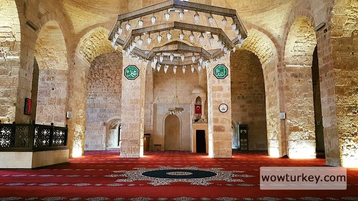 FB_IMG_1641733077470