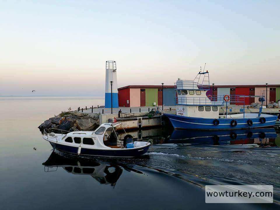 FB_IMG_1707795000564