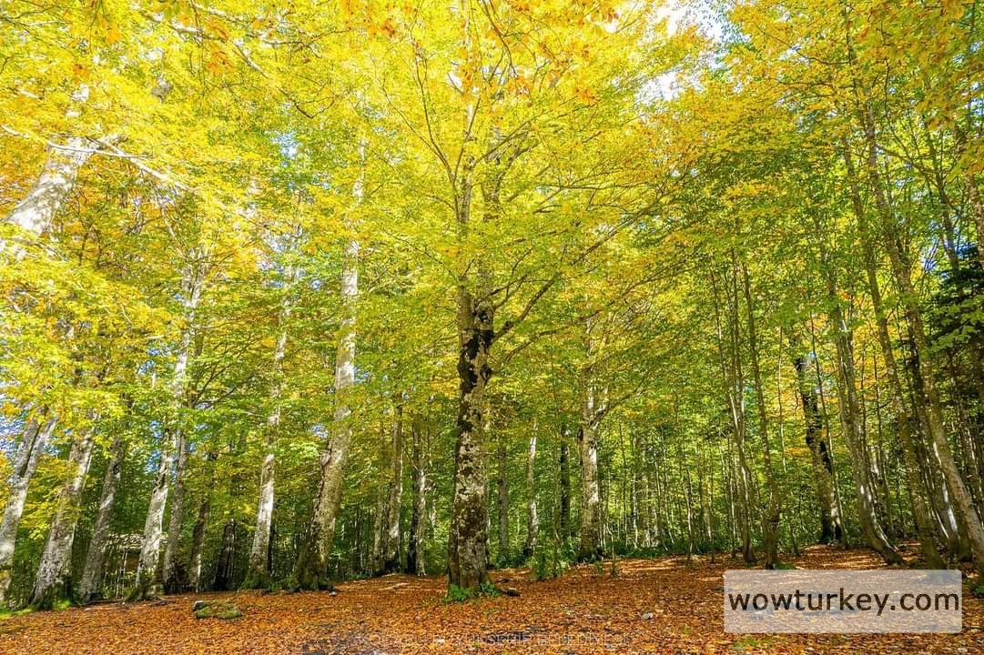 FB_IMG_1708263983292