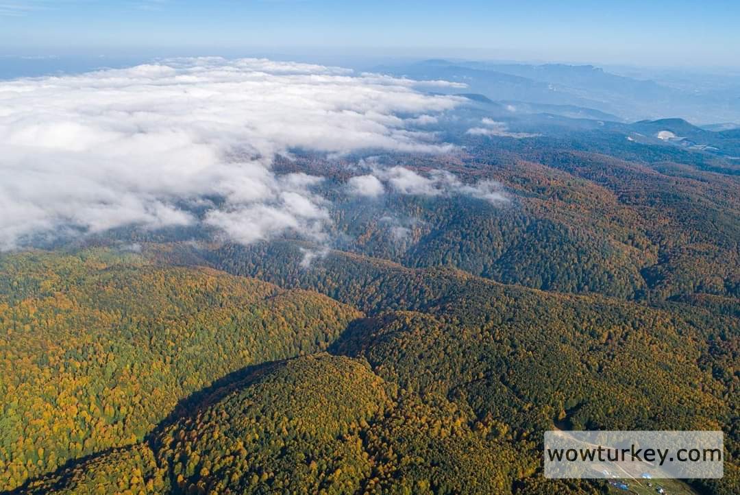 FB_IMG_1708263985734