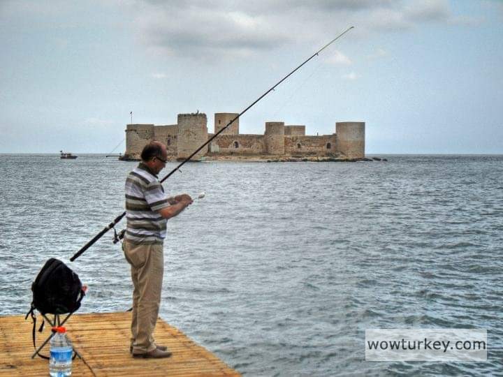 FB_IMG_1709839943033