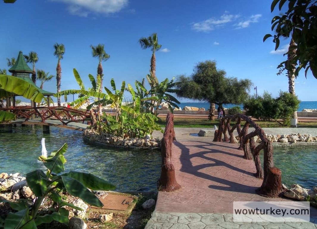 FB_IMG_1709840039864