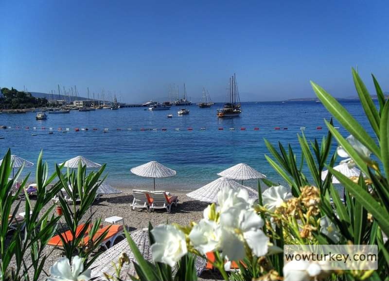 FB_IMG_1709840487174