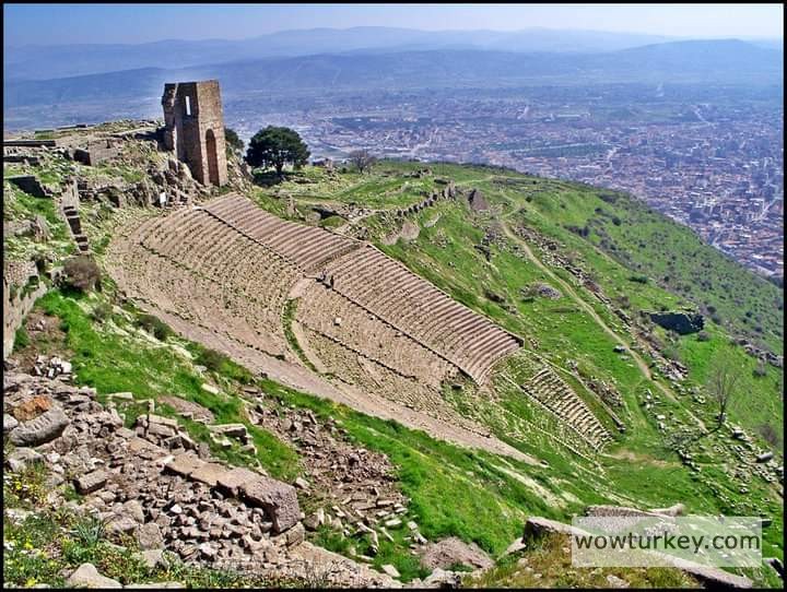 FB_IMG_1709850930525