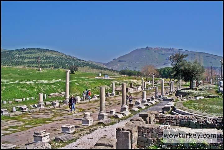 FB_IMG_1709850971365