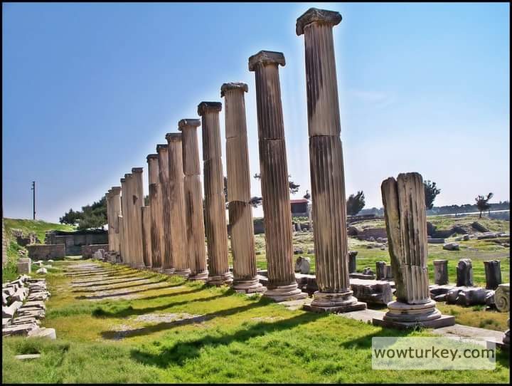 FB_IMG_1709850982627