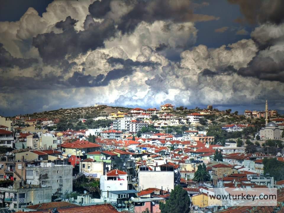 FB_IMG_1709892601755