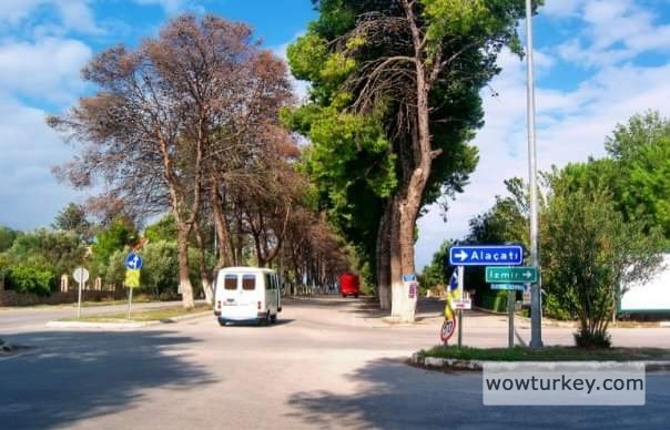 FB_IMG_1709893081511