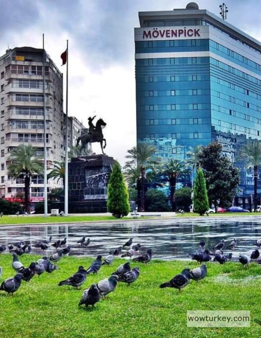 FB_IMG_1709905247640