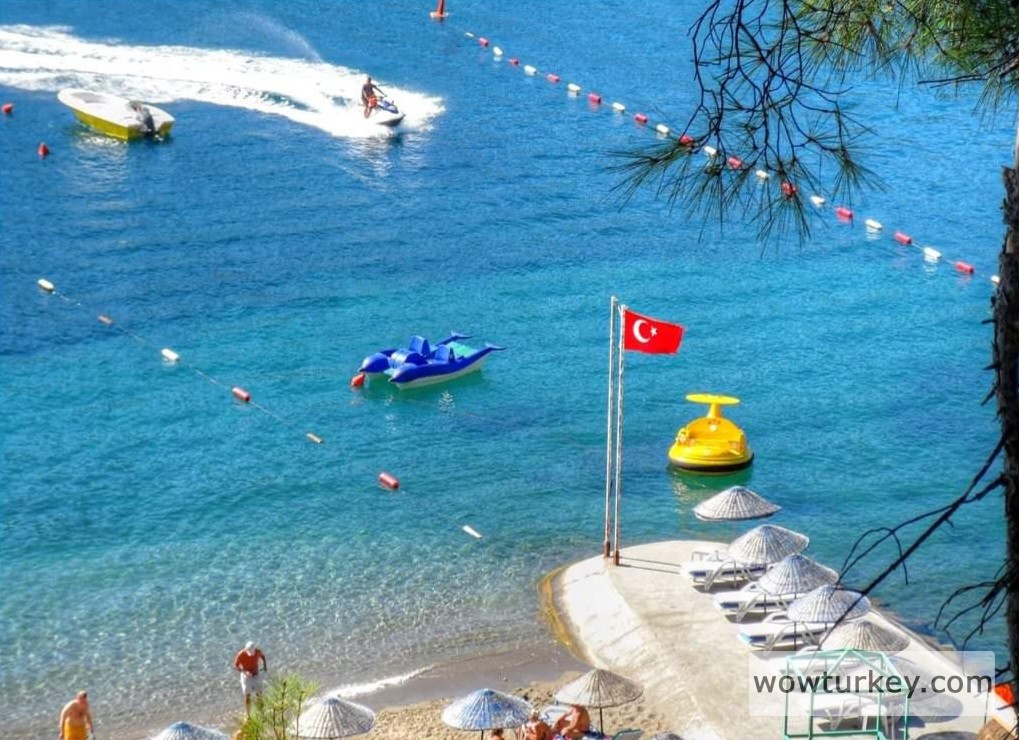 FB_IMG_1709906533312