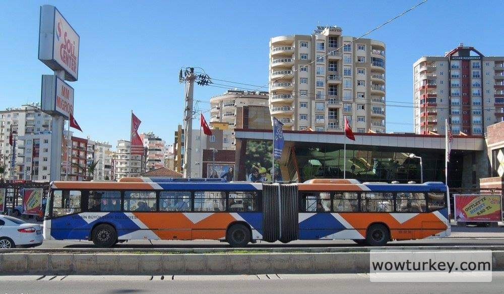 FB_IMG_1709932609908