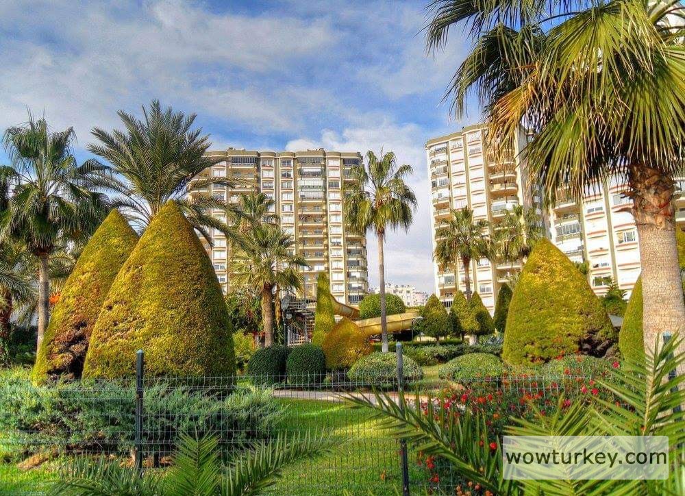 FB_IMG_1709932821984