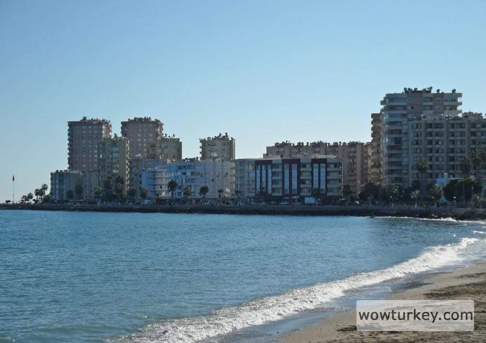 FB_IMG_1709979124015