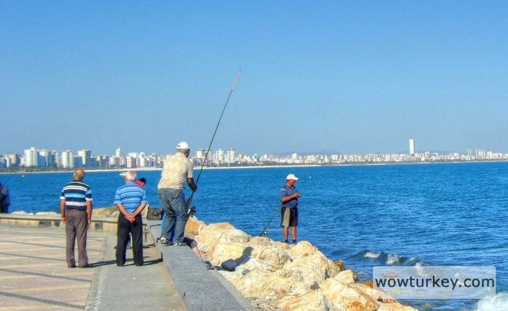 FB_IMG_1709979141341