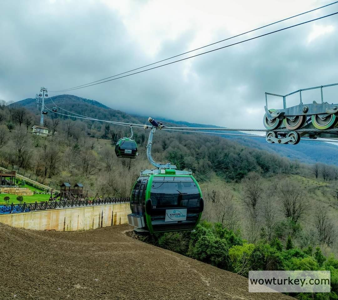 FB_IMG_1710055757657