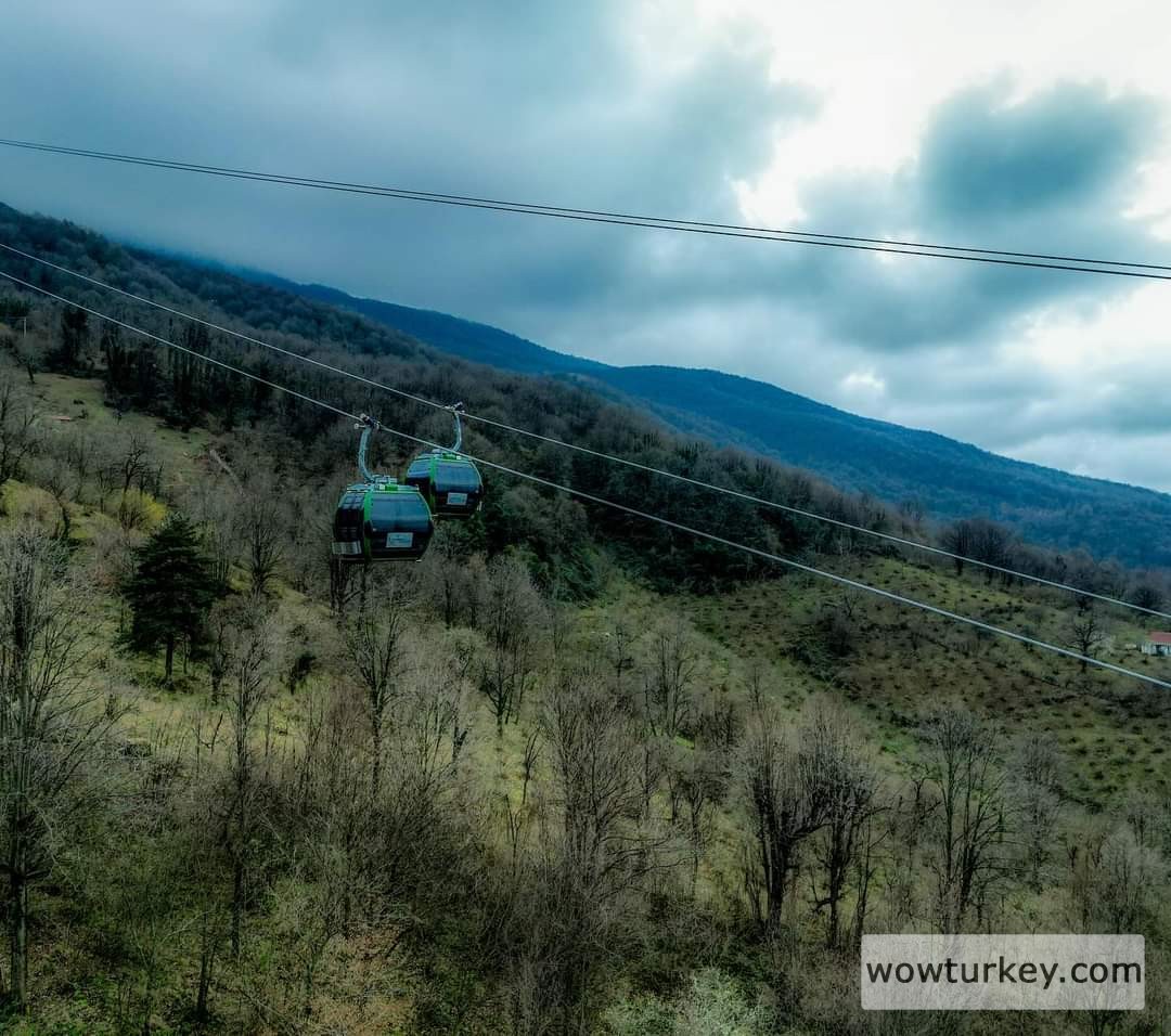 FB_IMG_1710055760014