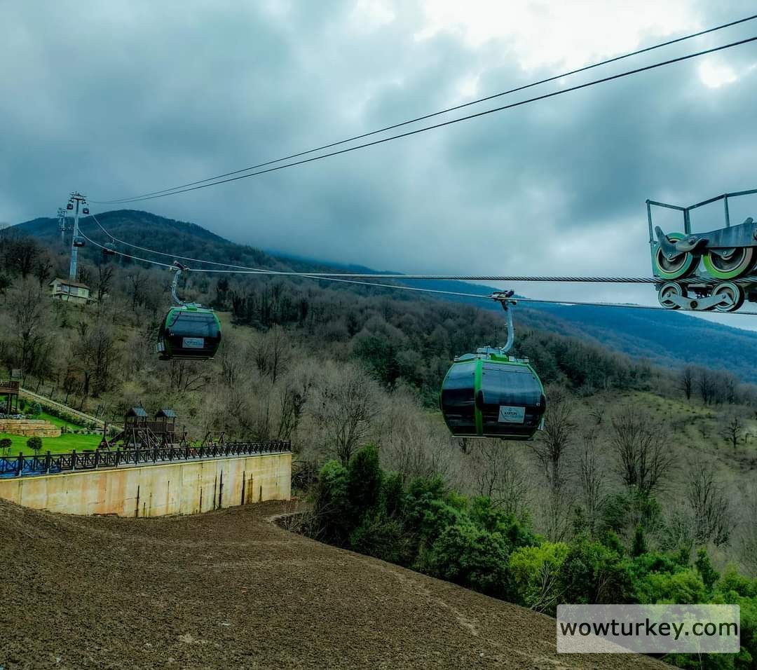 FB_IMG_1710055762813