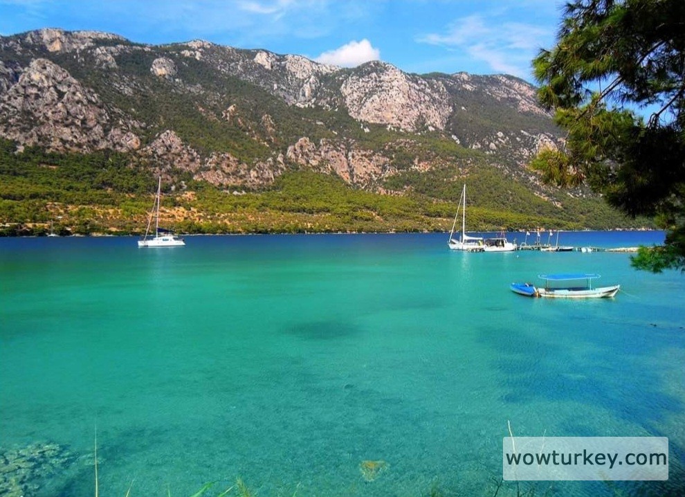 FB_IMG_1710066470381