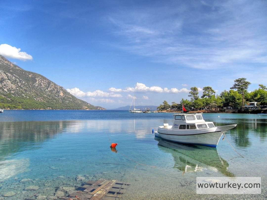 FB_IMG_1710066696118