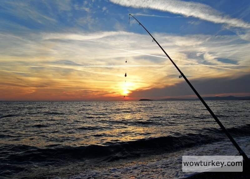 FB_IMG_1710067224202